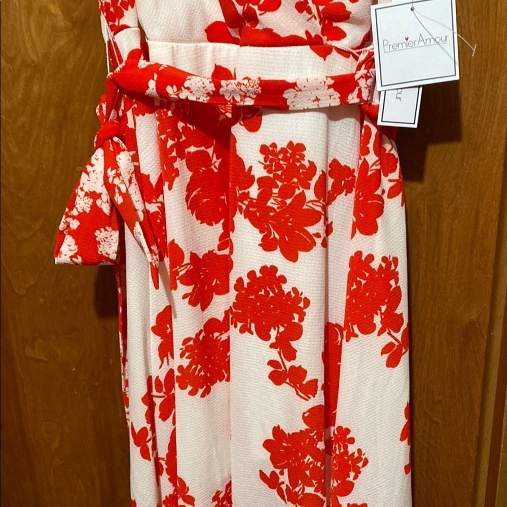 Premier Amour Red/White Sleeveless Size 12 Maxi Dress Summer Fall - Picture 4 of 14
